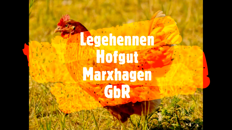 Bildschirmfoto 2023-07-30 um 21.09.43