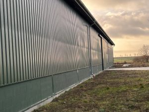 PHOTO-2025-01-31-09-31-18 2